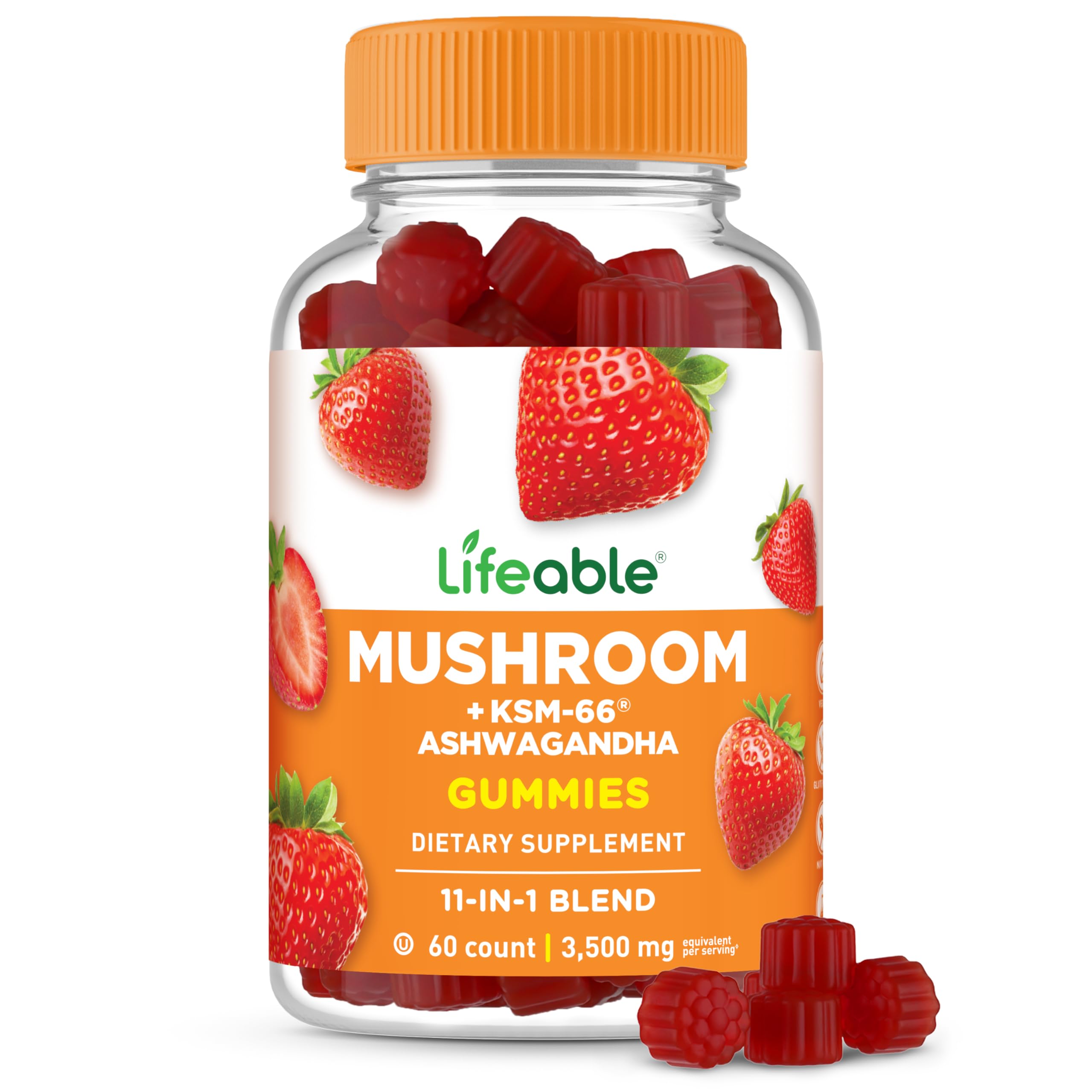 Lifeable mushroom gummies front bottle showing 60 gummies for focus-ready daily use