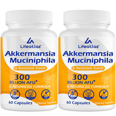 Lifeatlas Akkermansia bottle front showing daily probiotic for gut health support.