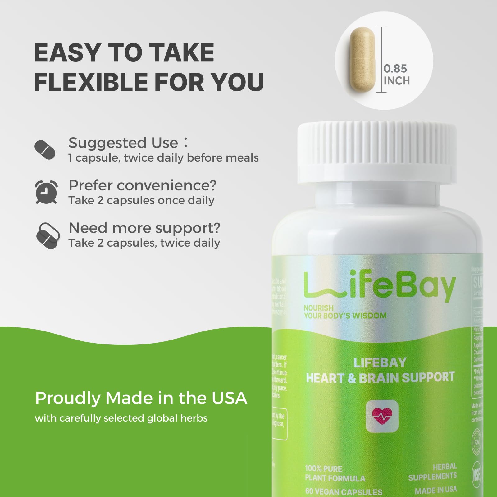 LifeBay circulation balance graphic illustrates healthy blood flow benefits.