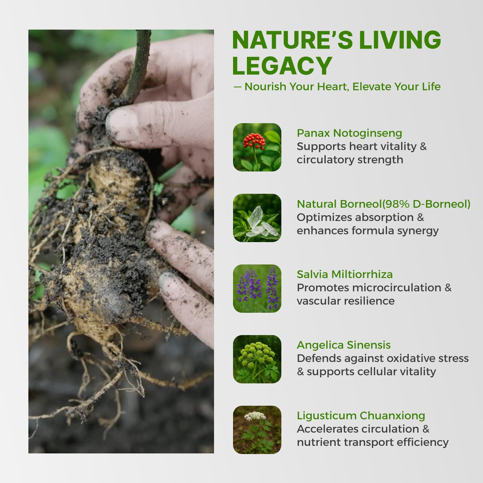LifeBay vegan gluten-free logo emphasizes clean, plant-based formulation.