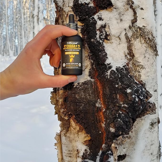 Life Cykel chaga tincture with Kakadu Plum vitamin C supports immune-friendly routine.