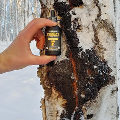 Life Cykel chaga tincture with Kakadu Plum vitamin C supports immune-friendly routine.