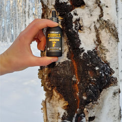 Life Cykel wild-harvested chaga bottle signals ethical sourcing and purity.