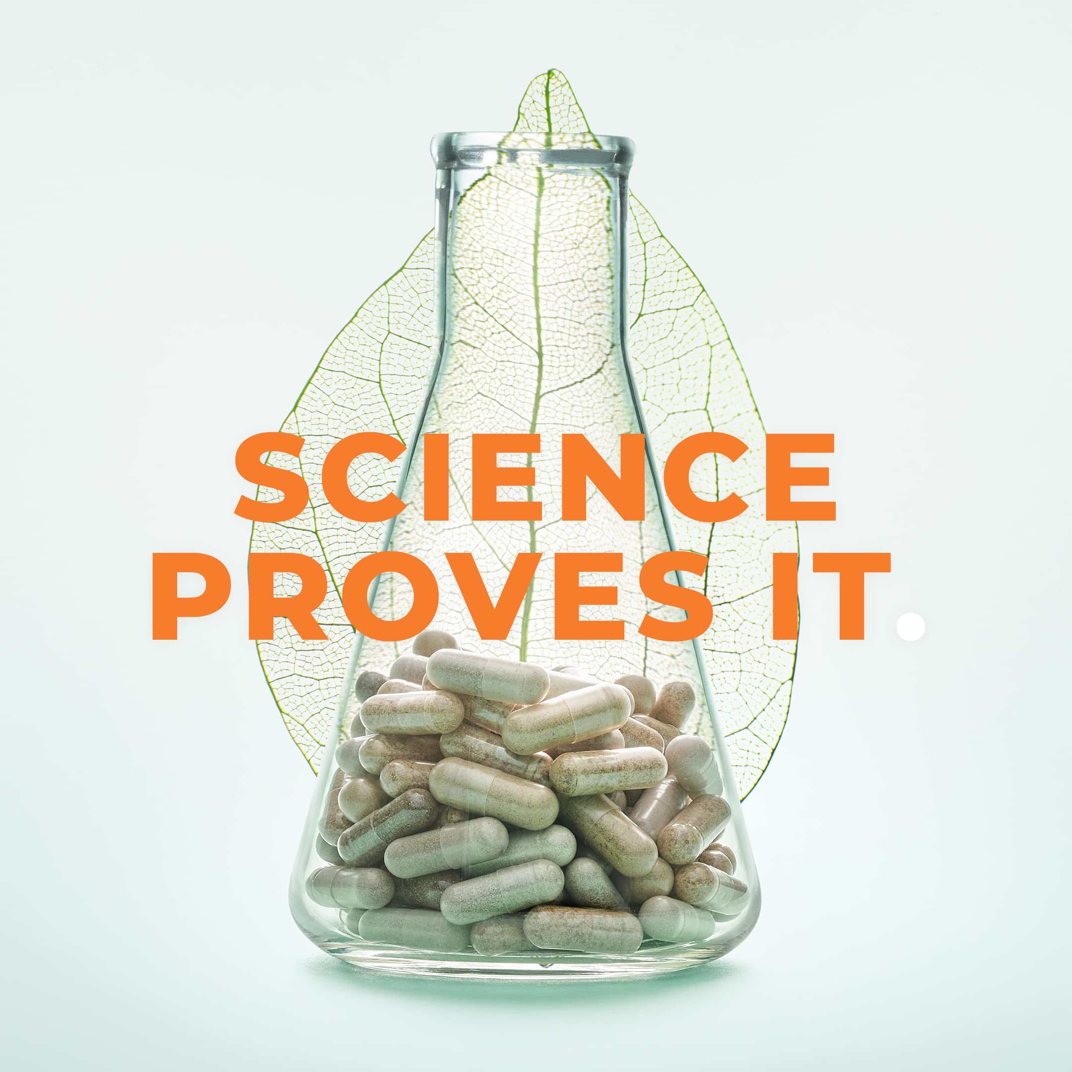 LifeSeasons Bone Densi-T bottle on shelf for everyday wellness