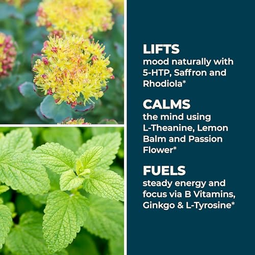 LifeSeasons Mood Stabili-T daily-use pose demonstrates simple two-capsule routine