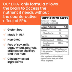 LifeSeasons NeuroQ-400 DHA icon indicating evidence-based benefits for brain health