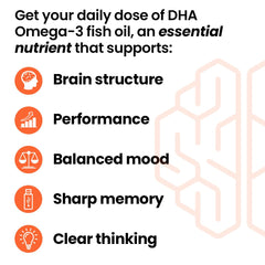 Close-up of LifeSeasons NeuroQ-400 DHA softgels highlighting high-potency DHA for cognitive health