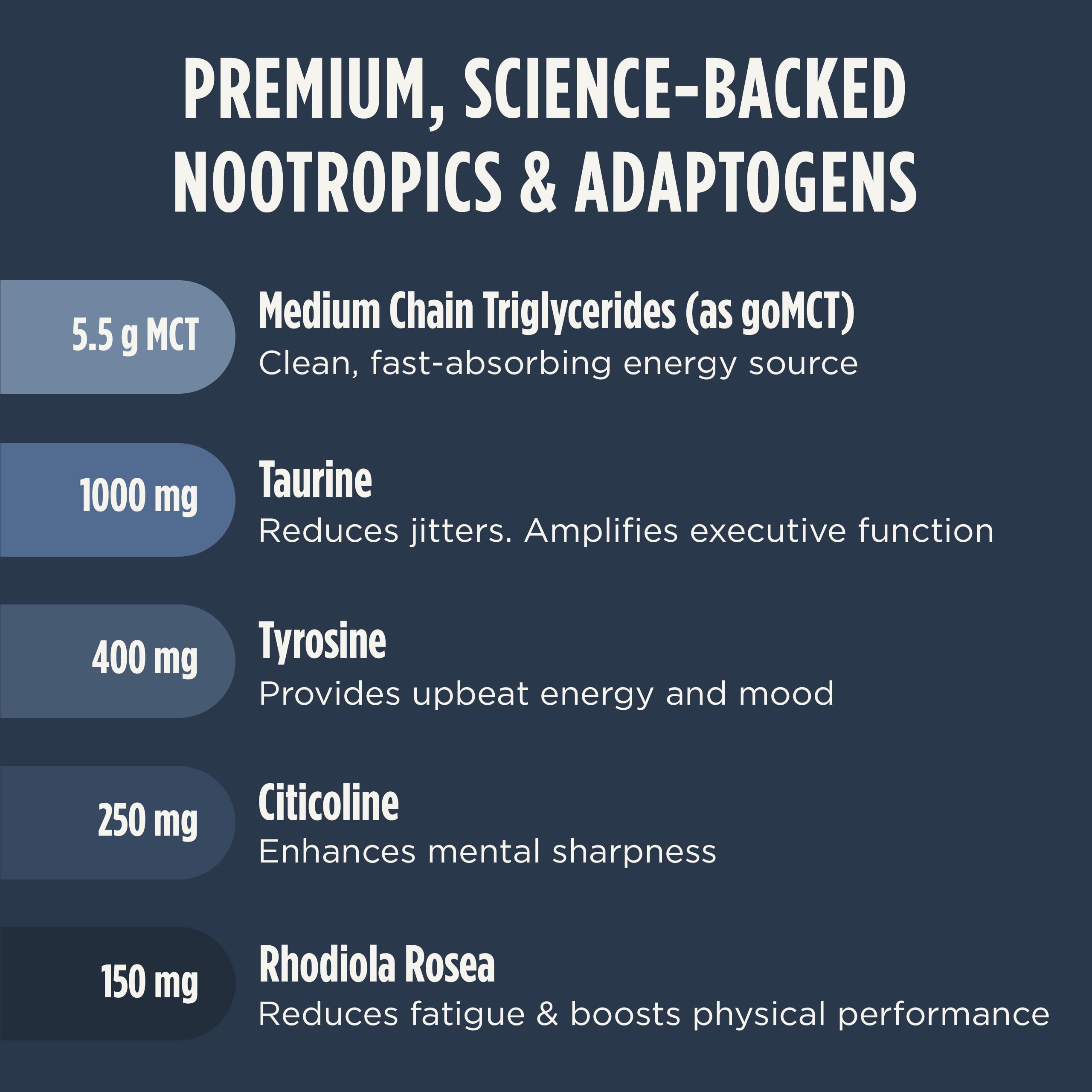 A scoop of LIFESTACKS Focus vanilla powder hints at rich flavor and clean sweetness.