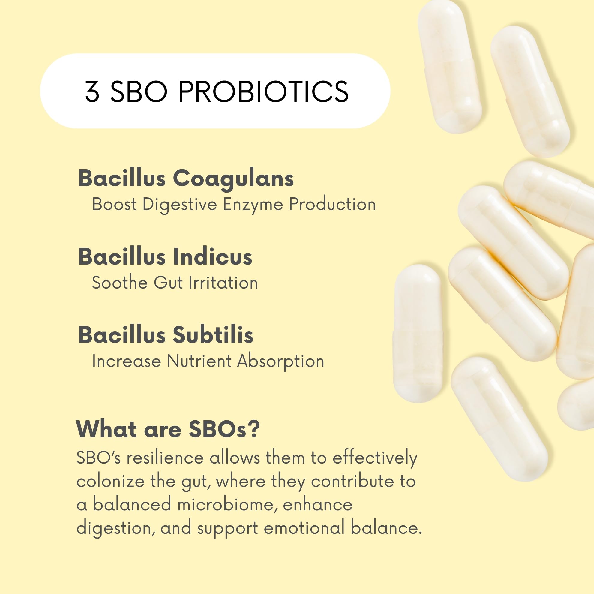 Lifted Naturals Bacillus coagulans label details pure strains for gut balance