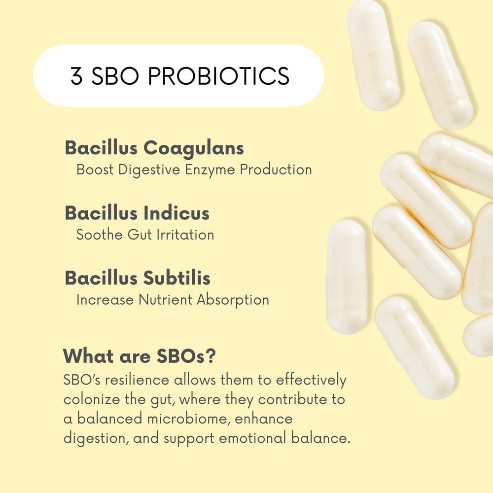 Lifted Naturals Bacillus coagulans label details pure strains for gut balance