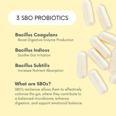 Lifted Naturals Bacillus coagulans label details pure strains for gut balance