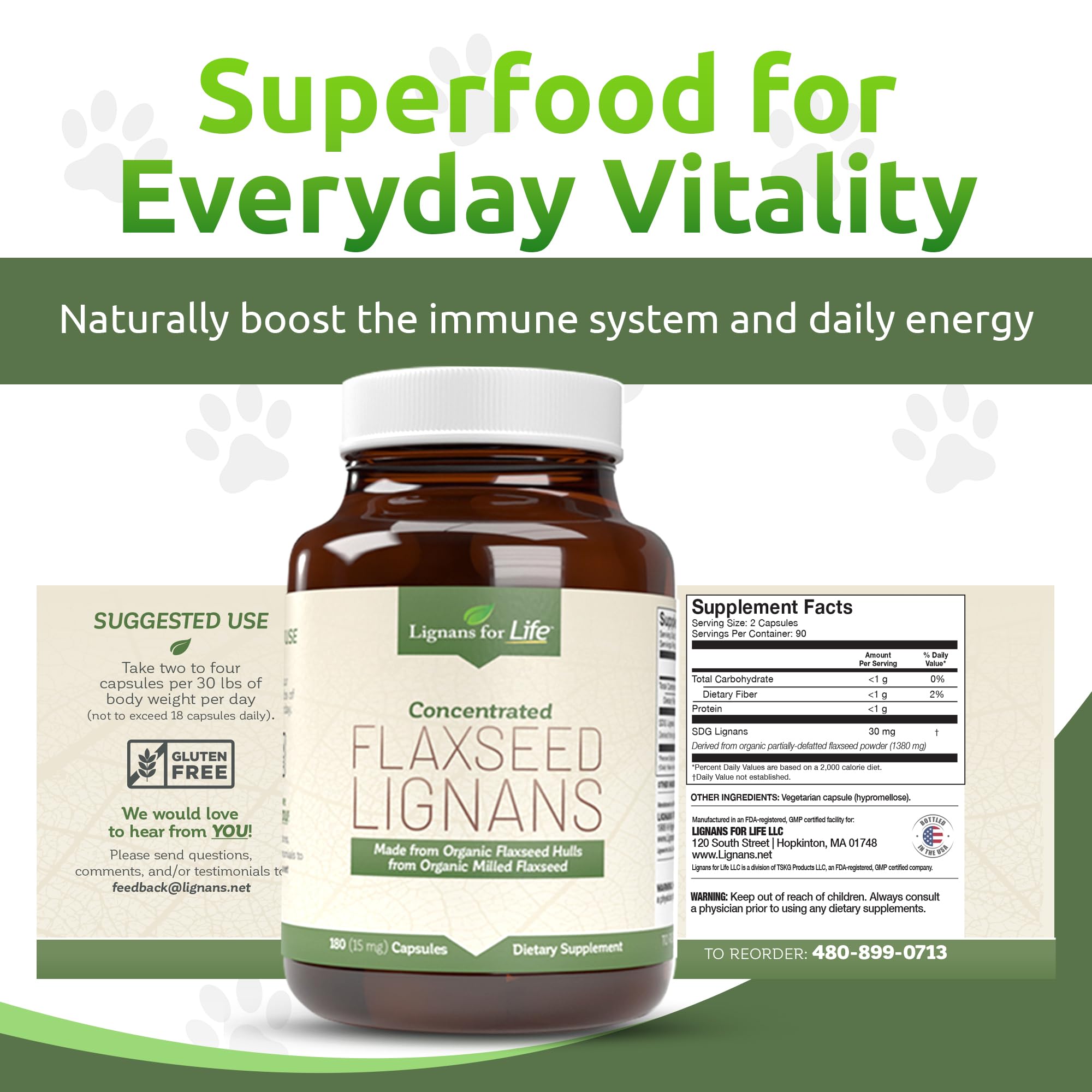 Lignans For Life digestive health scene suggesting support for gut comfort
