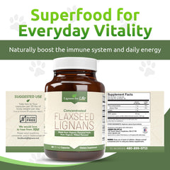 Lignans For Life digestive health scene suggesting support for gut comfort