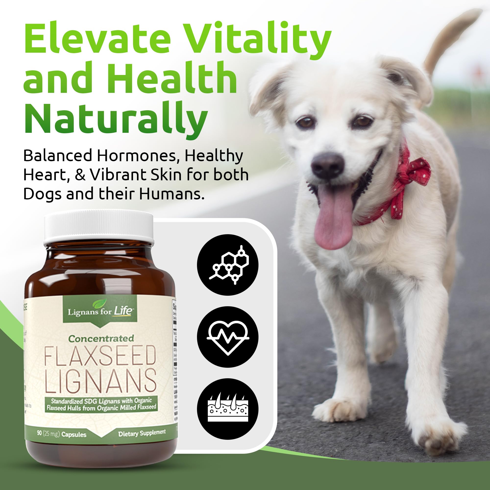 Lignans For Life bottle beside dog paw suggesting digestive comfort
