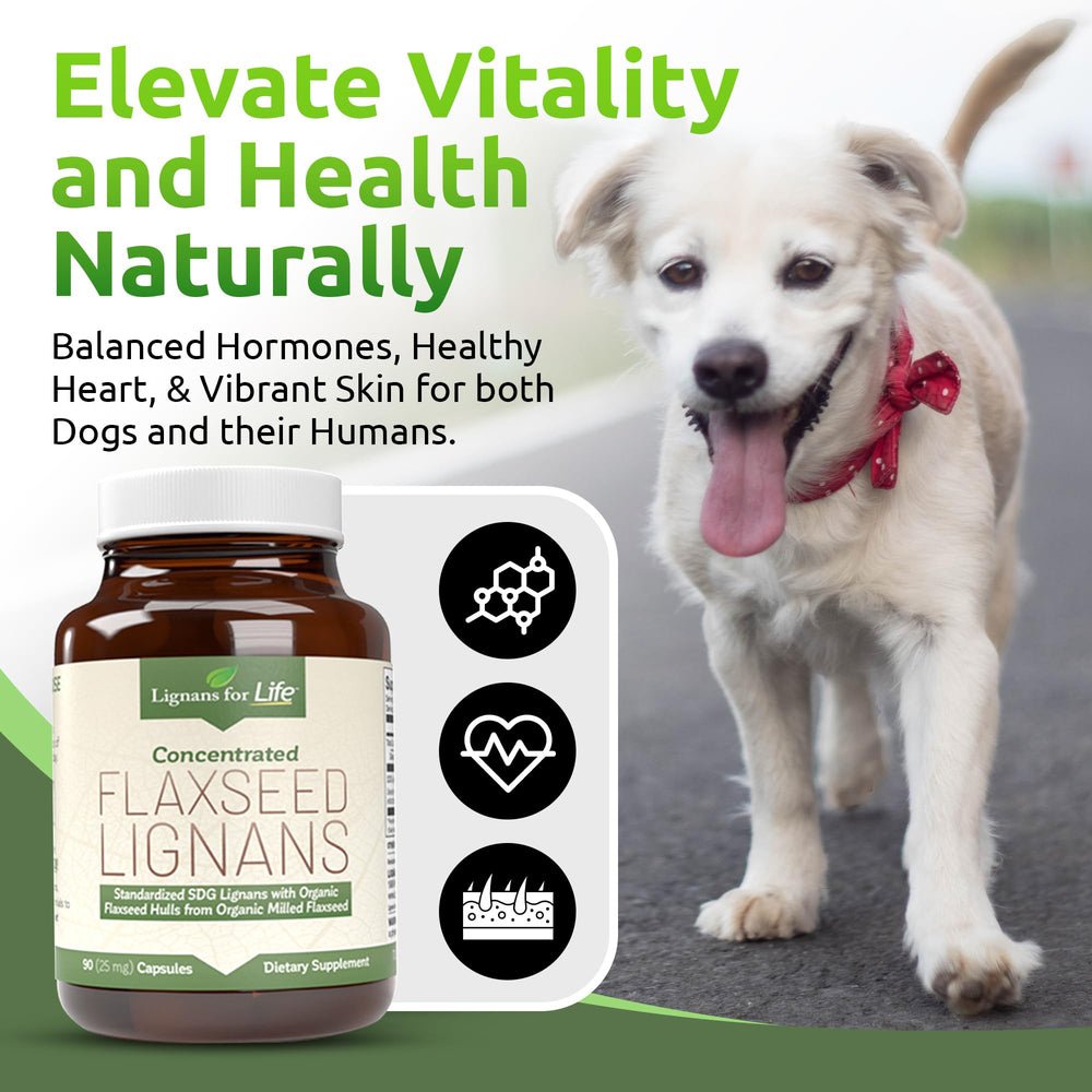 Lignans For Life bottle beside dog paw suggesting digestive comfort