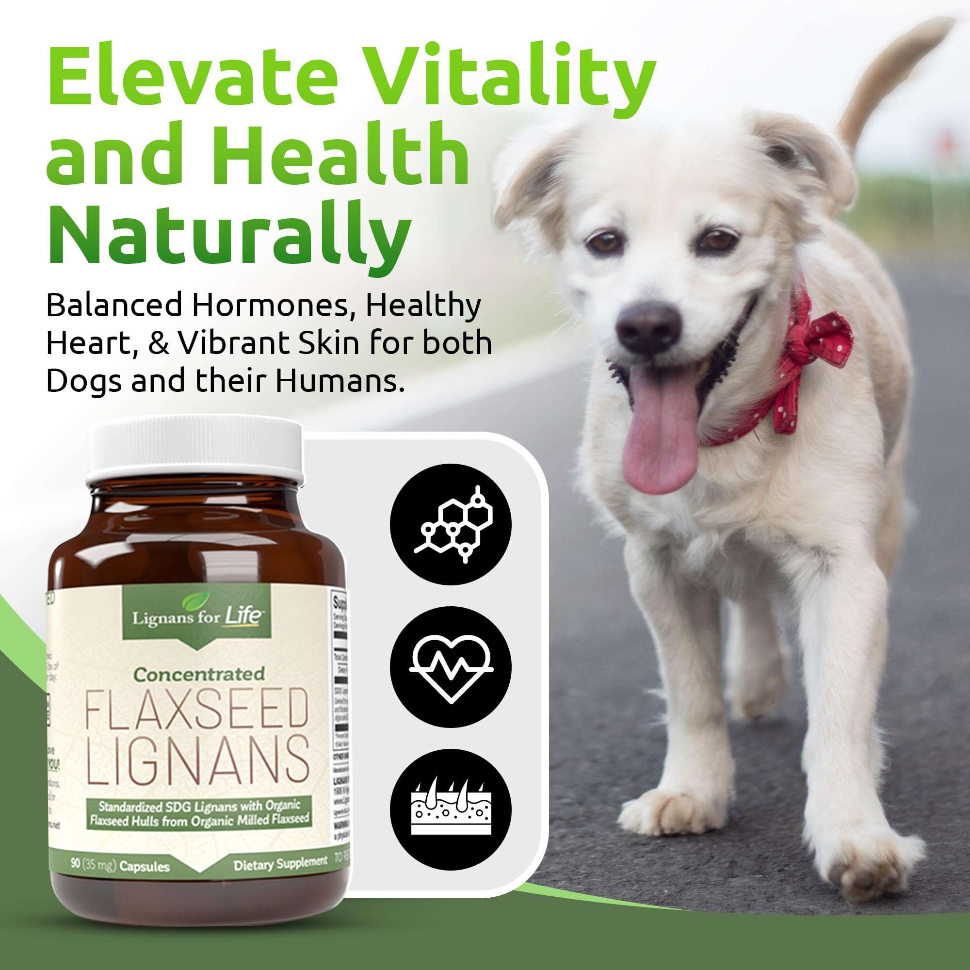 Two-pack packaging shown for convenient canine supplementation.