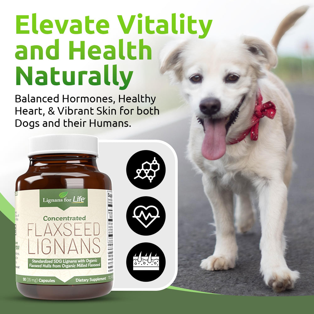 Two-pack packaging shown for convenient canine supplementation.