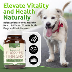 Two-pack packaging shown for convenient canine supplementation.