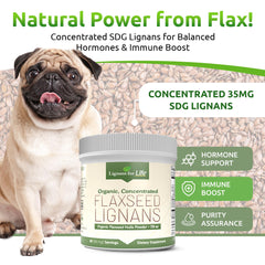 Lignans For Life flaxseed powder scoop – simple daily addition for fiber and omega-3.