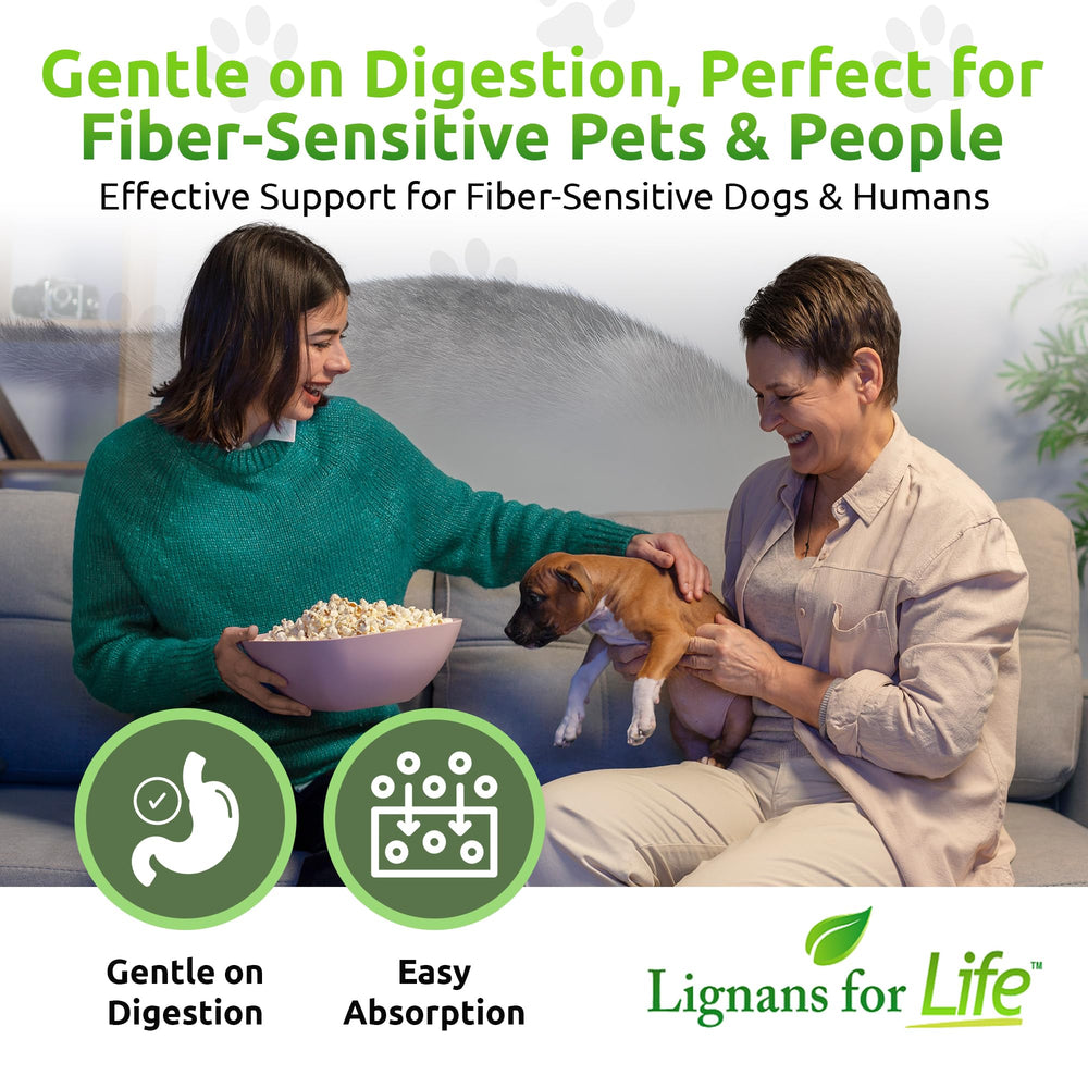 Lignans For Life HMR Lignans for Dogs coat-shine benefit visible on healthy fur