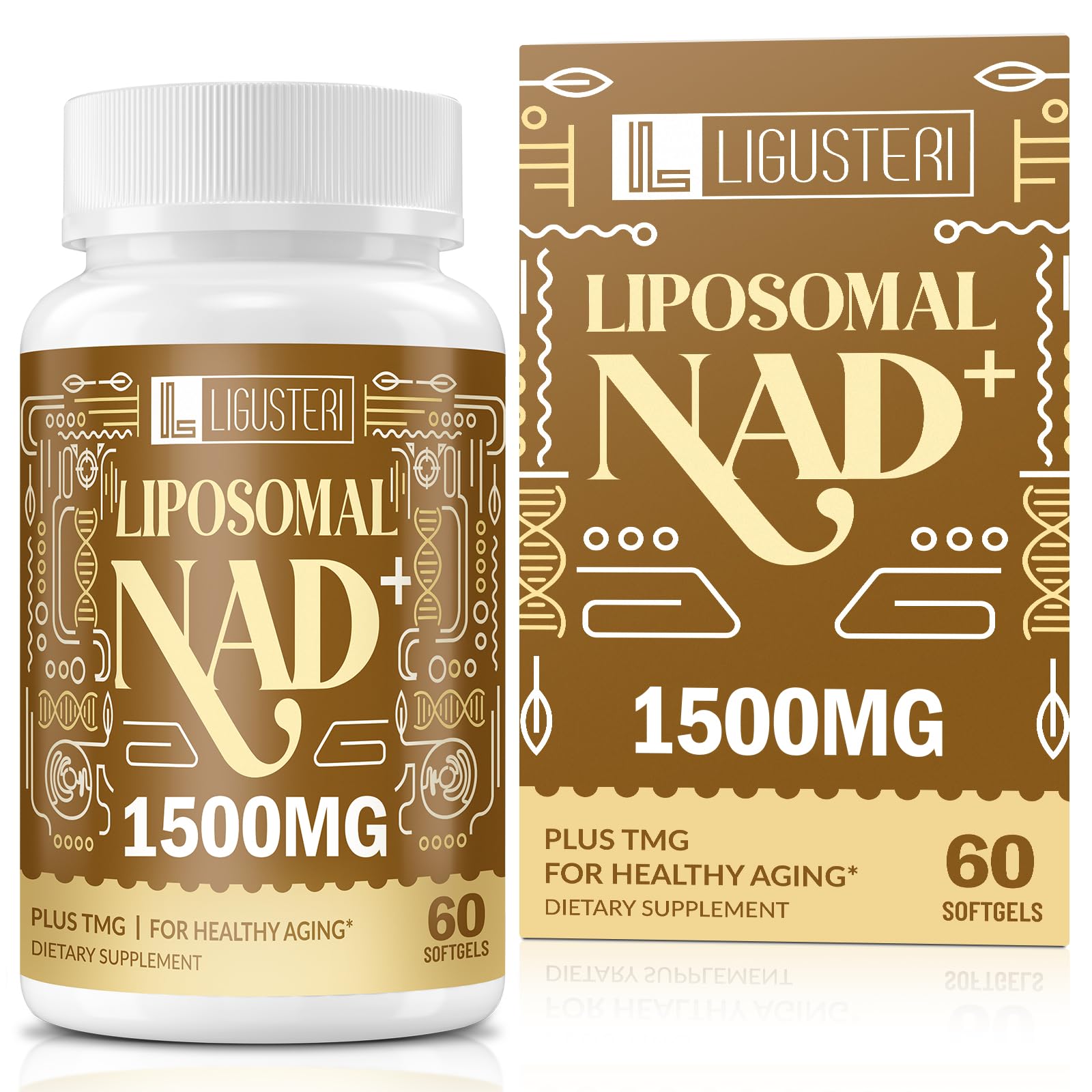 LIGUSTERI liposomal NAD+ bottle front highlights energy support.