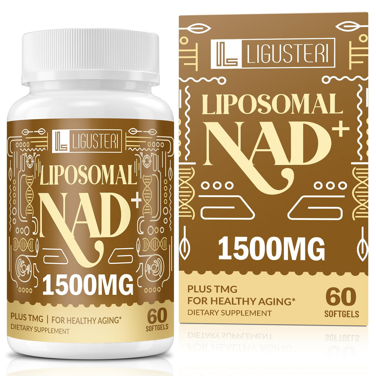 LIGUSTERI liposomal NAD+ bottle front highlights energy support.