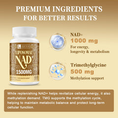 LIGUSTERI NAD+ energy boost scene illustrating daily vitality potential.