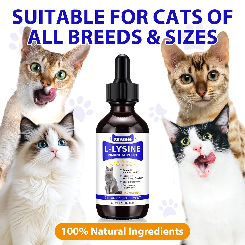 Liiutry Lysine for Cats supports daily vitality during play