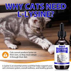 Liiutry Lysine for Cats dropper used to dispense easy-to-dose liquid