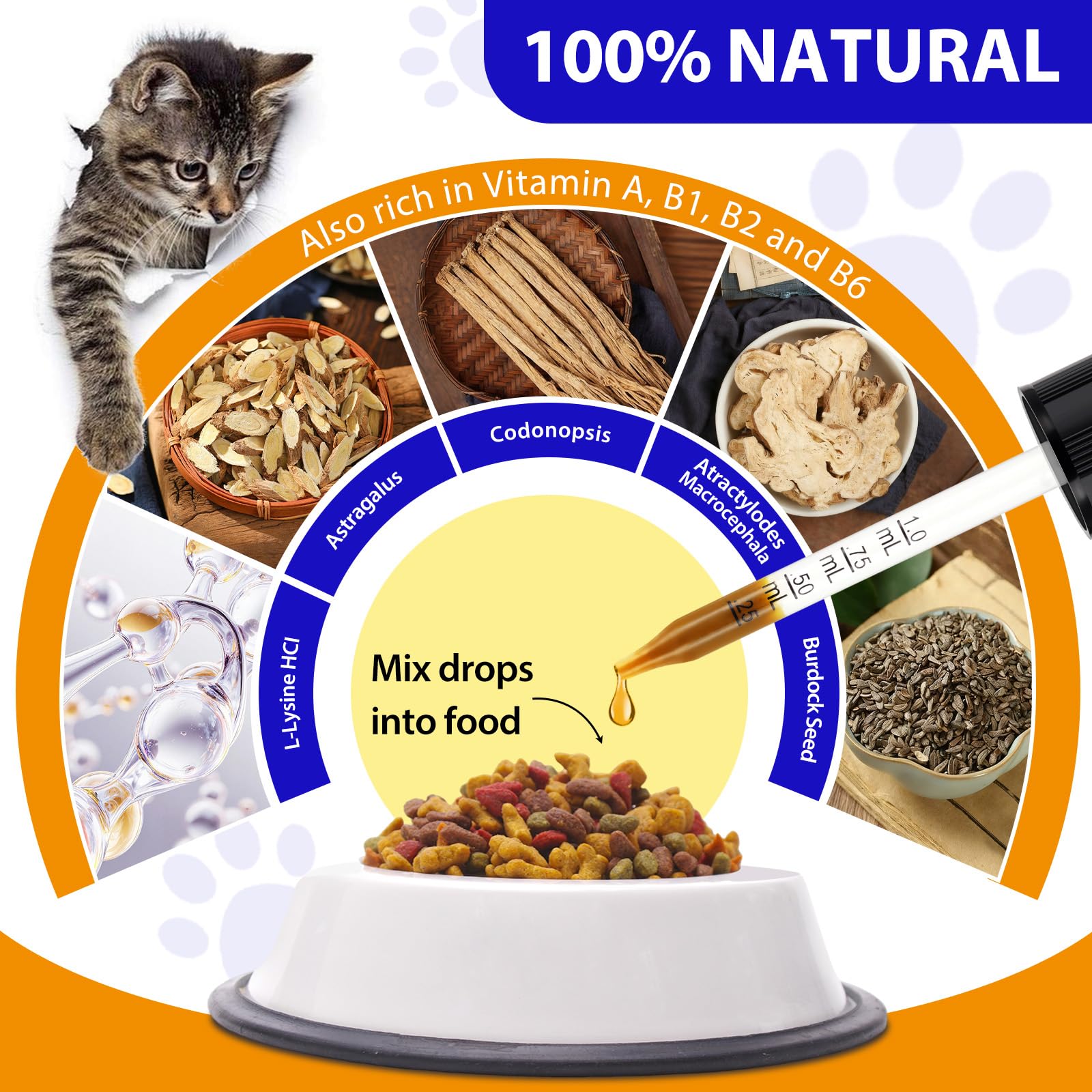 Liiutry Lysine for Cats ingredient panel highlights astragalus and codonopsis