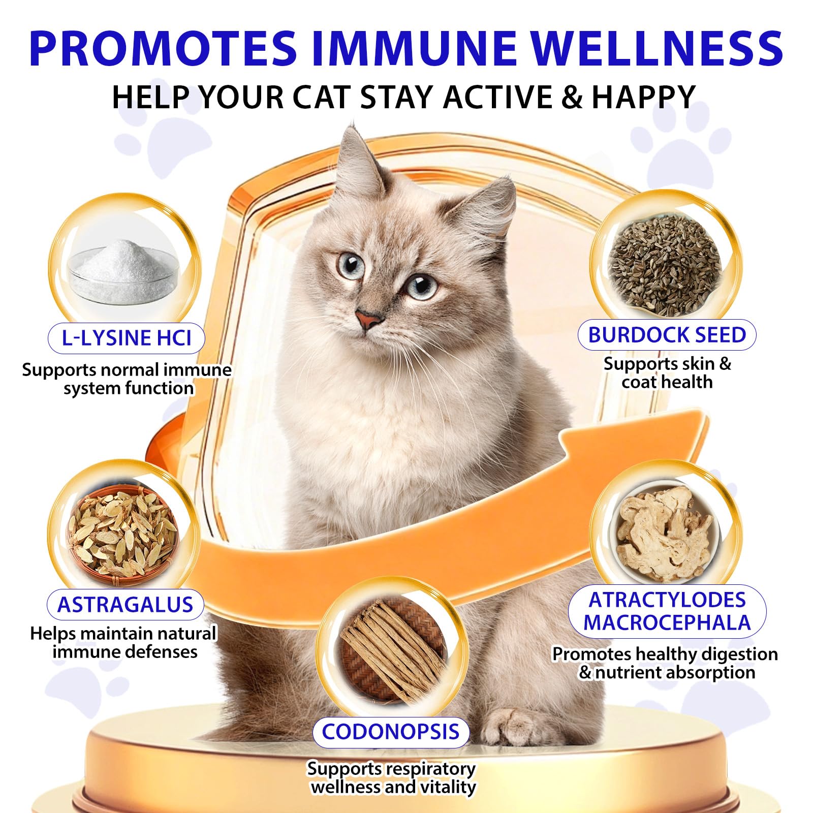 Liiutry Lysine for Cats label closeup and droplet ready