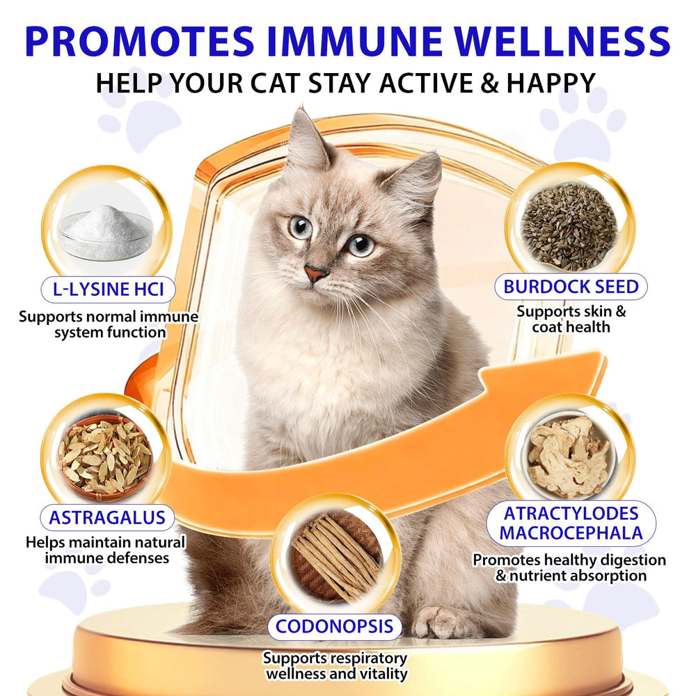 Liiutry Lysine for Cats label closeup and droplet ready