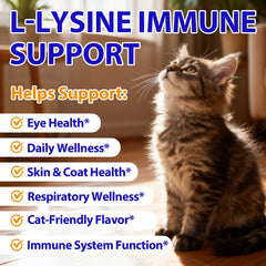 Liiutry Lysine for Cats liquid drops being mixed into wet food