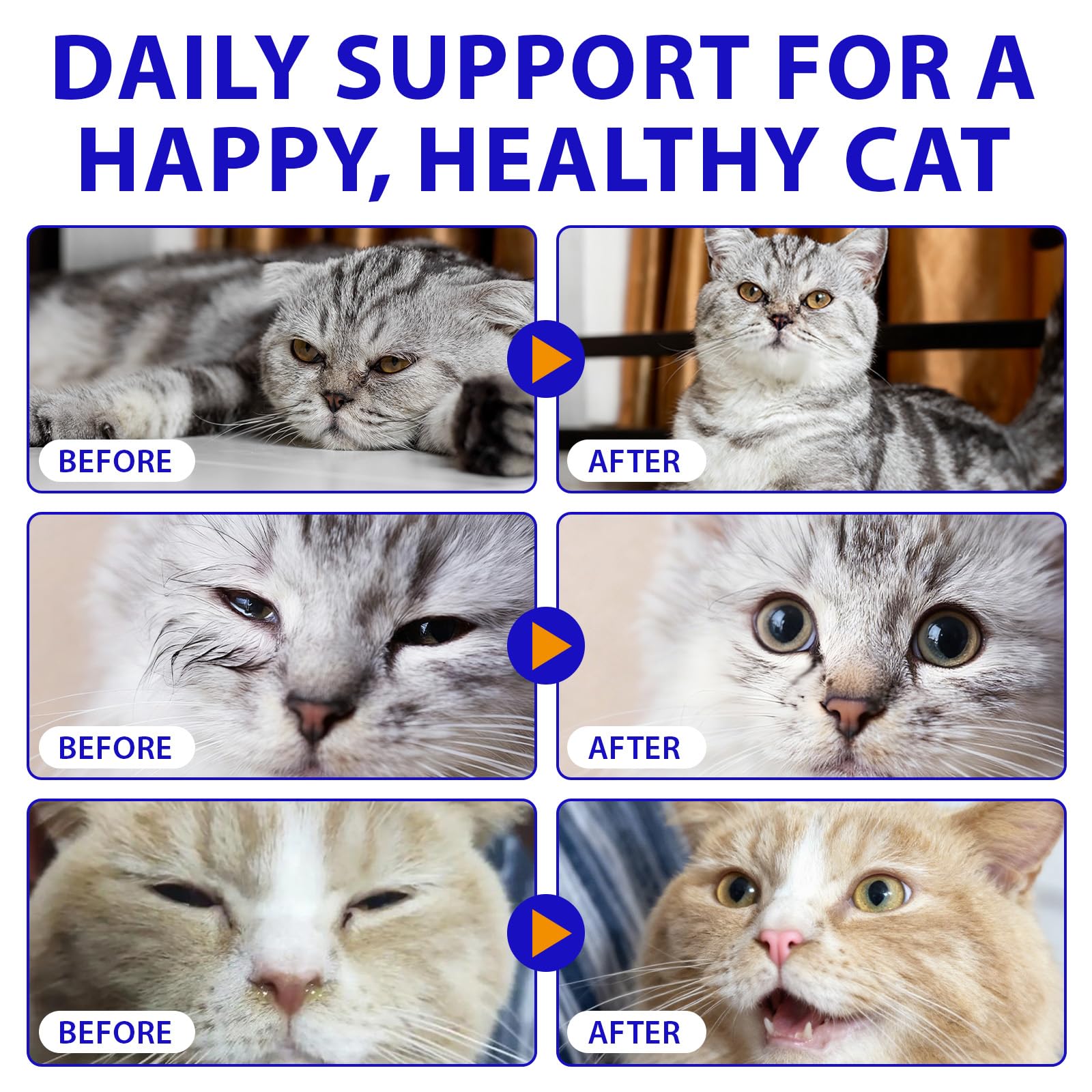 Liiutry Lysine for Cats mealtime mixing shows easy administration