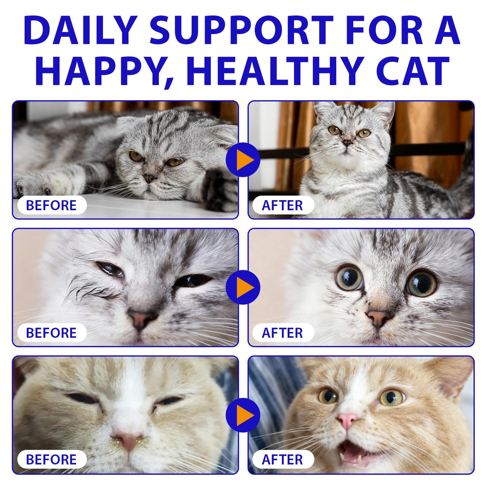 Liiutry Lysine for Cats mealtime mixing shows easy administration