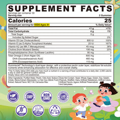 LILICARE algae Omega-3 kids gummies highlighting brain support and memory