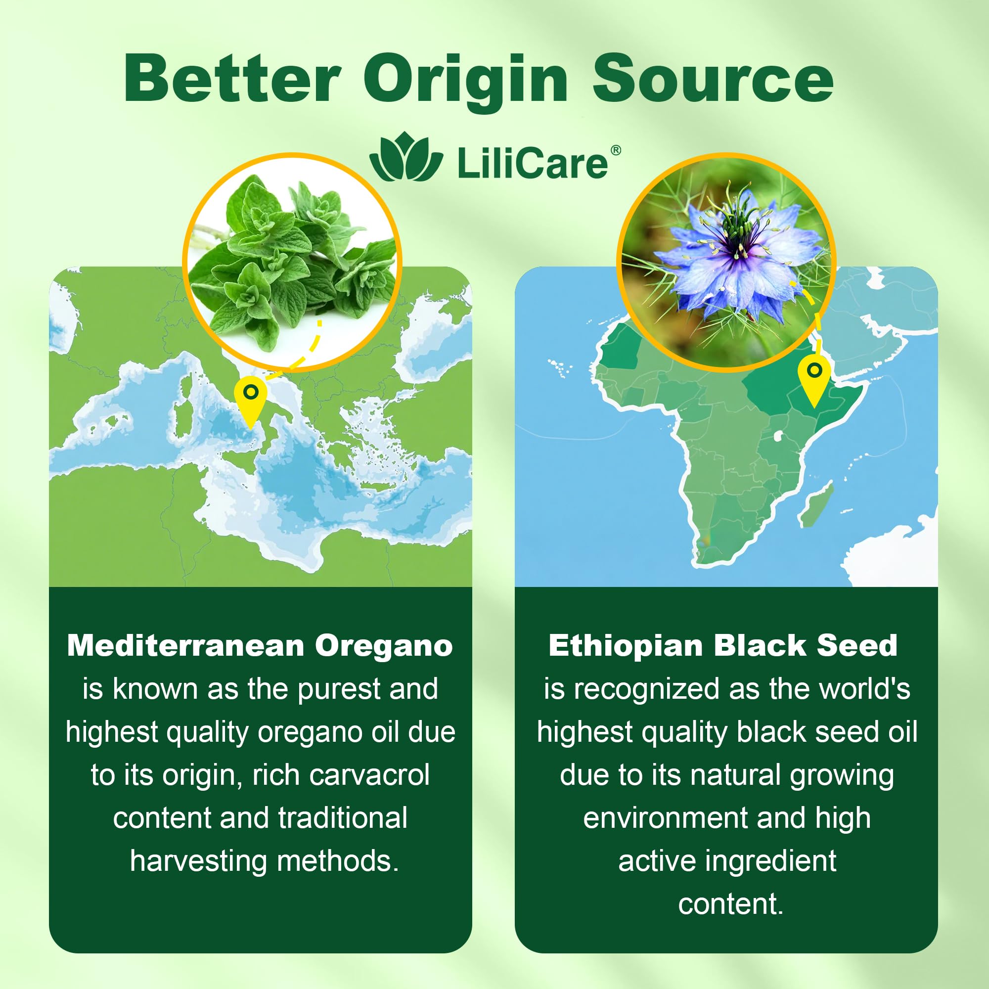 LILICARE close-up of oregano and black seed ingredient.
