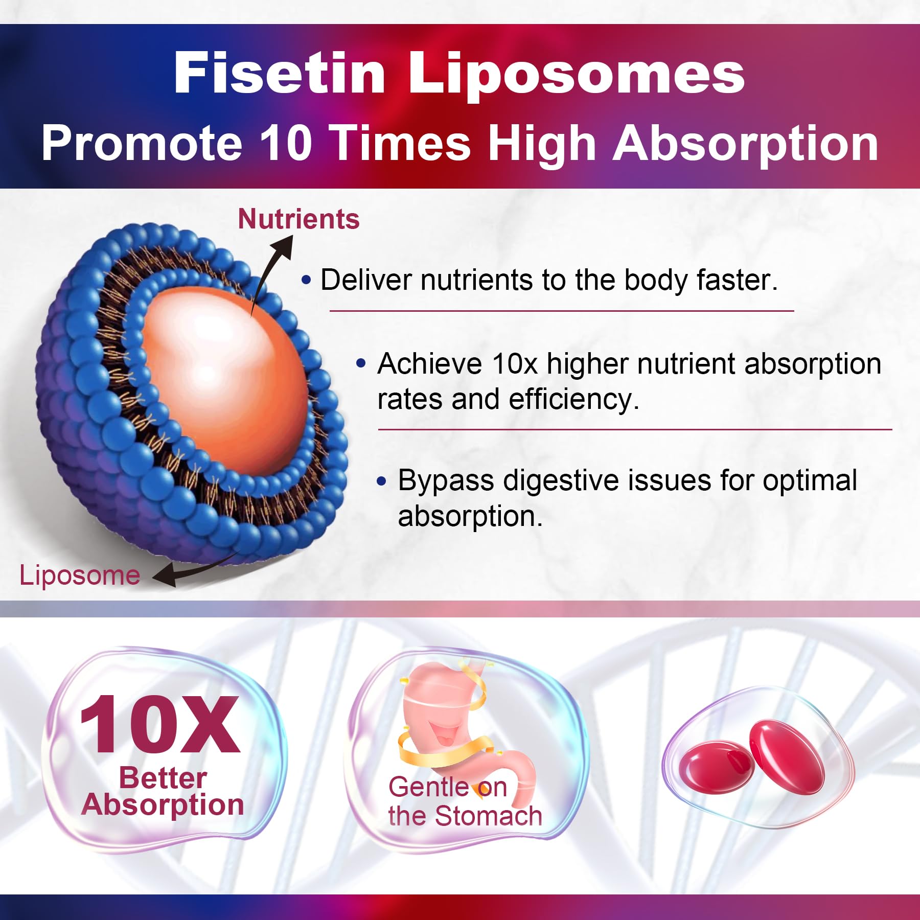 LILICARE blend of quercetin and resveratrol for antioxidant support.