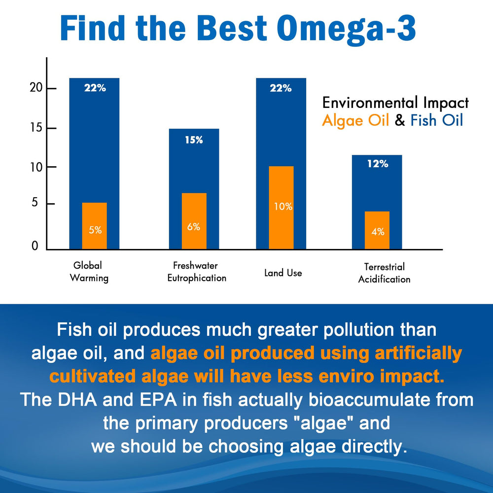 LILICARE Omega-3 Gummies arranged with supplement tray implies a simple wellness routine
