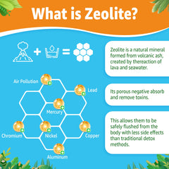 LILICARE Zeolite Gummies show blueberry flavor and sugar-free convenience