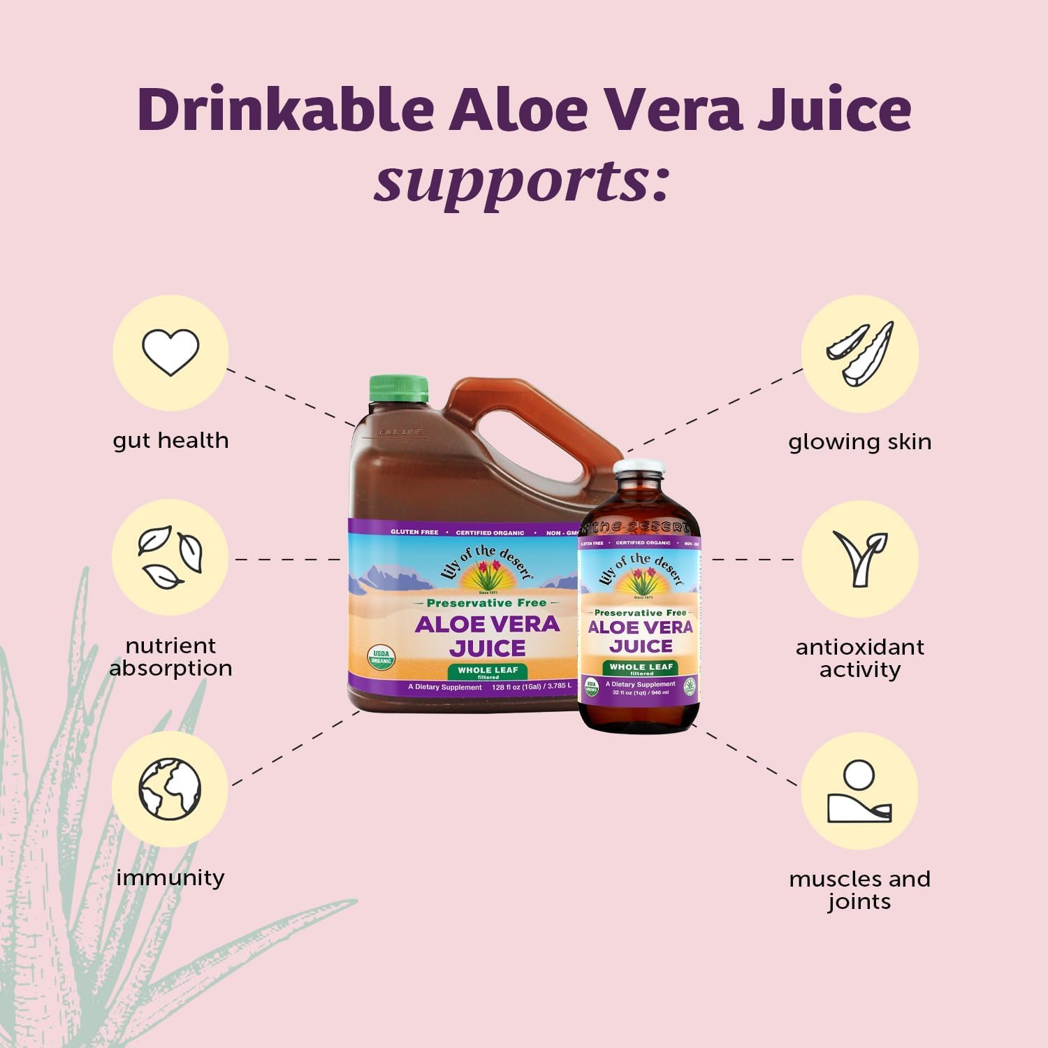 Pouring Lily Of The Desert Aloe Vera Juice into a glass for hydration