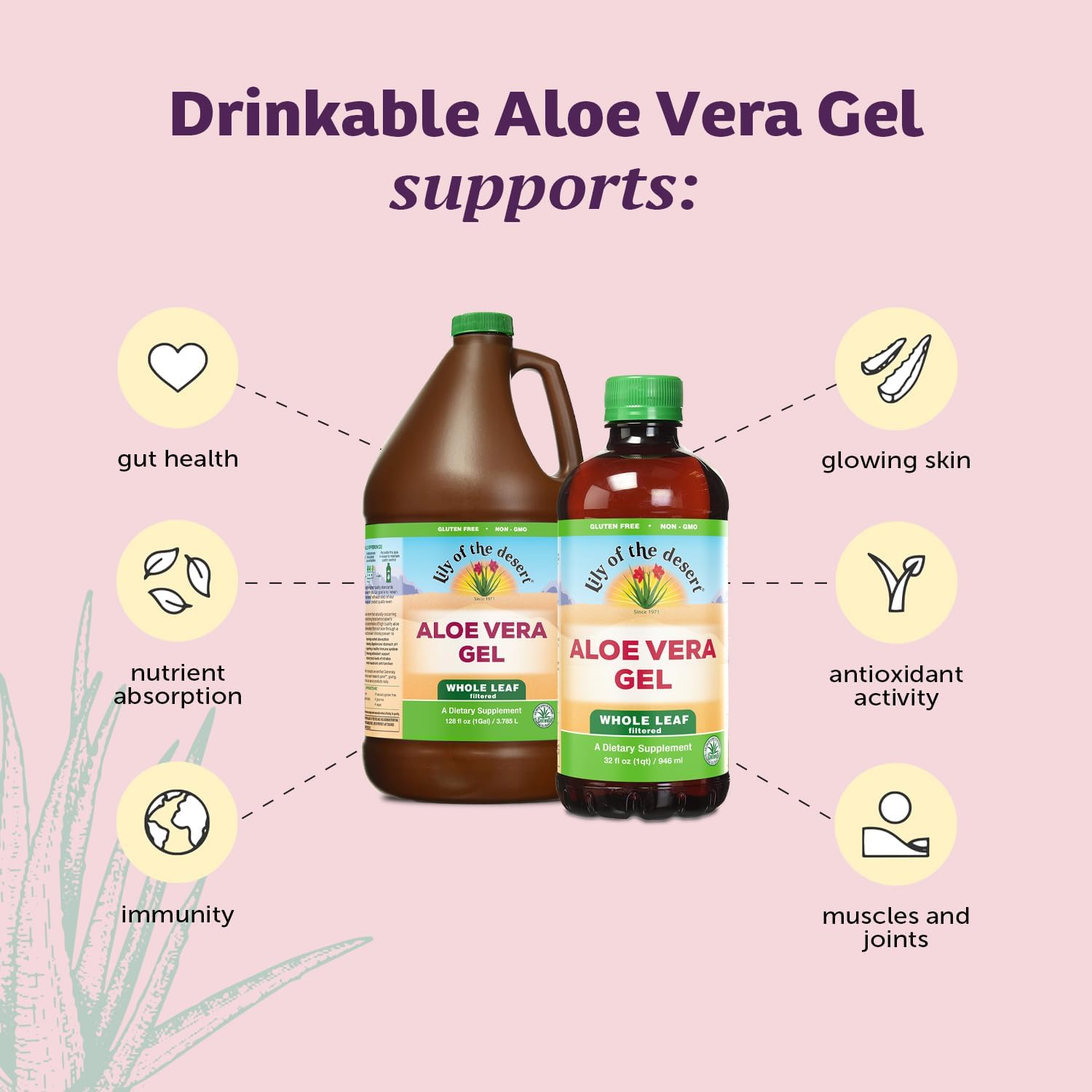 Lily of the Desert aloe leaf close-up highlights natural vitality.