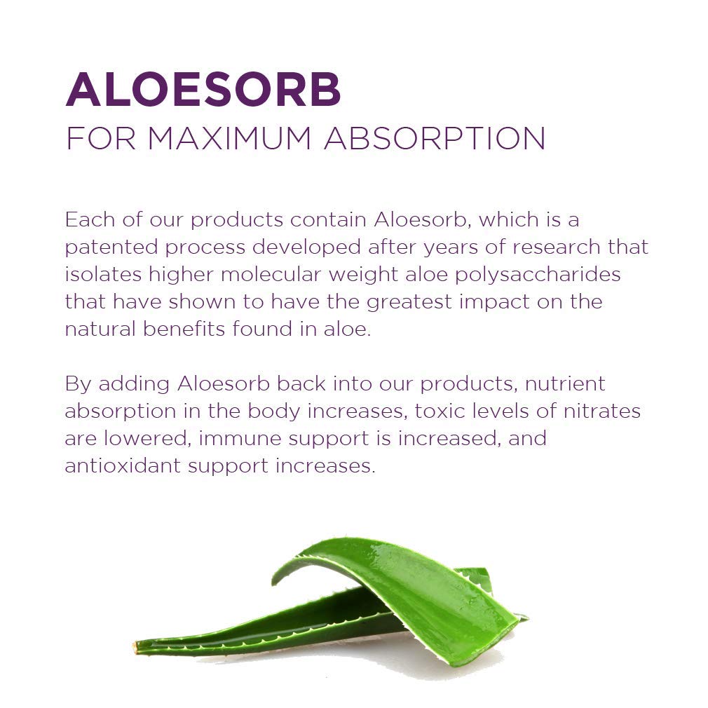 Lily of the Desert Aloe Vera Gel smoothie ready setup demonstrates beverage integration