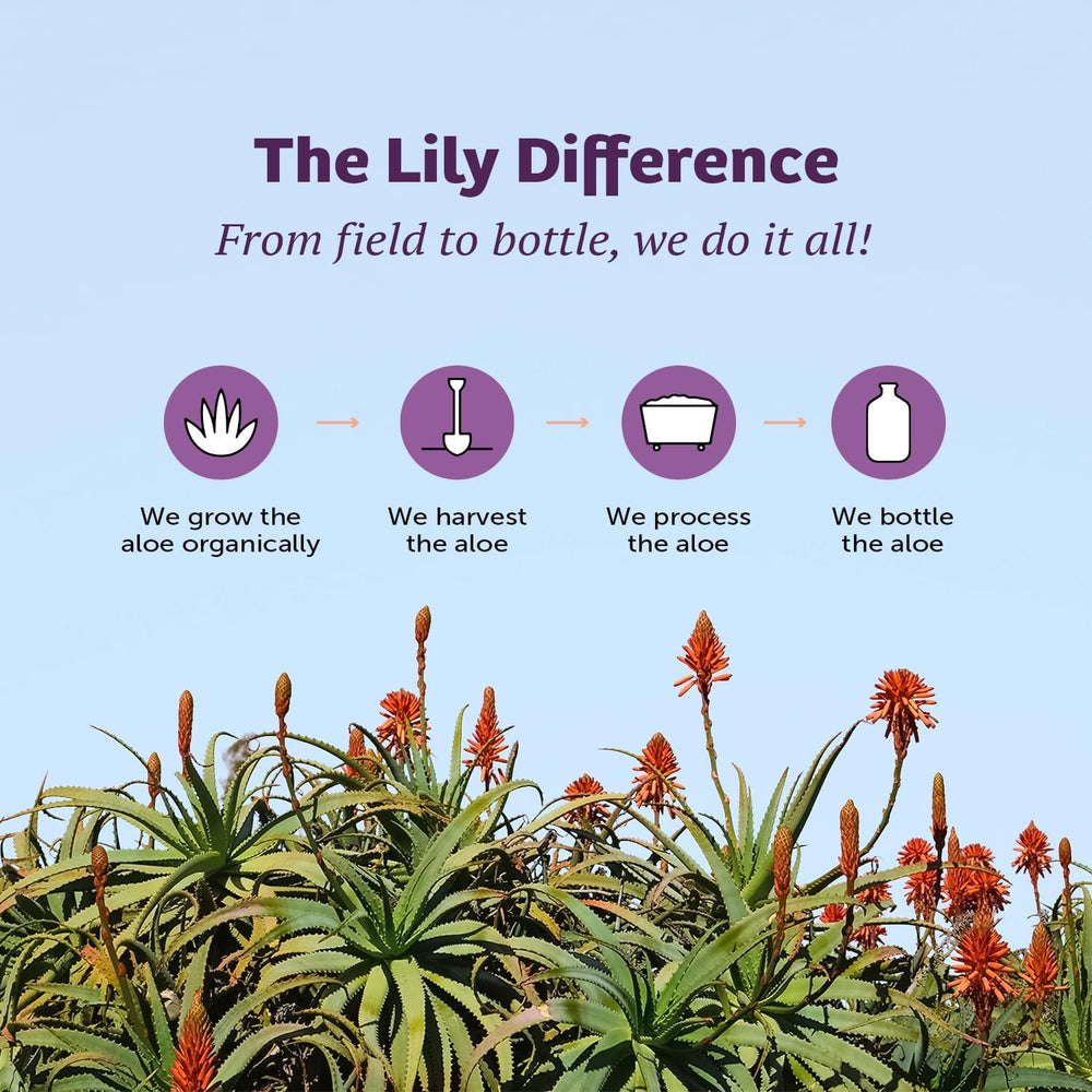 Lily Of The Desert packaging hero shot for the 2-pack.