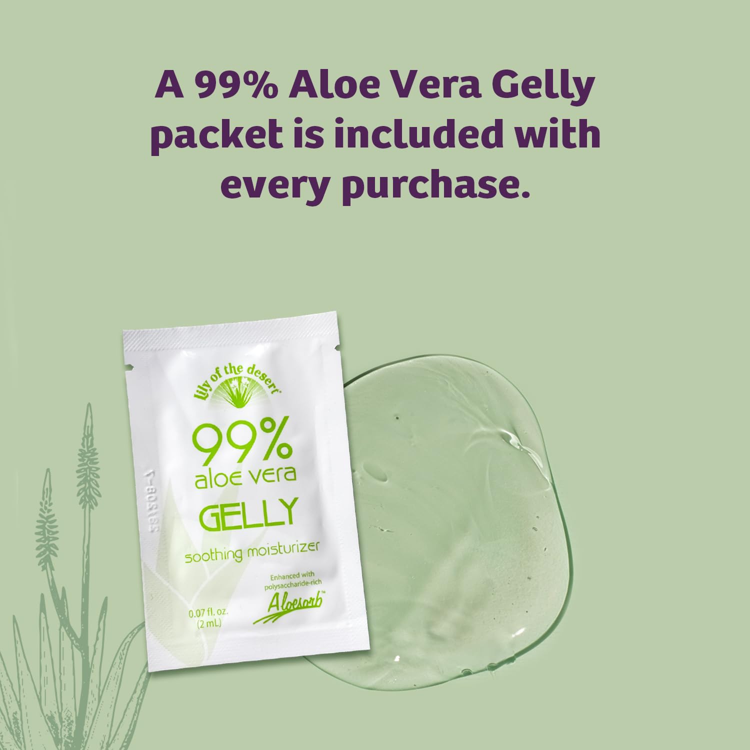 Lily of the Desert Stomach Formula ingredient close-up shows herbs for gentle digestion