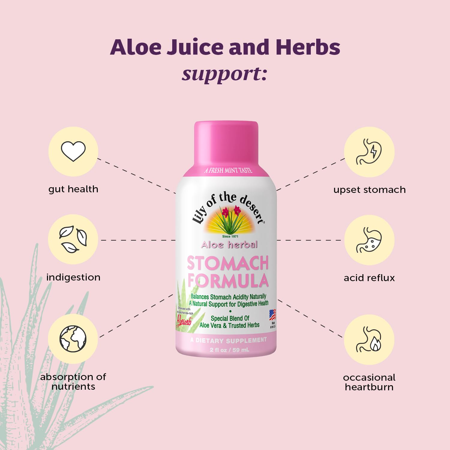 Lily of the Desert stomach shot herbal blend scene emphasizes peppermint and chamomile