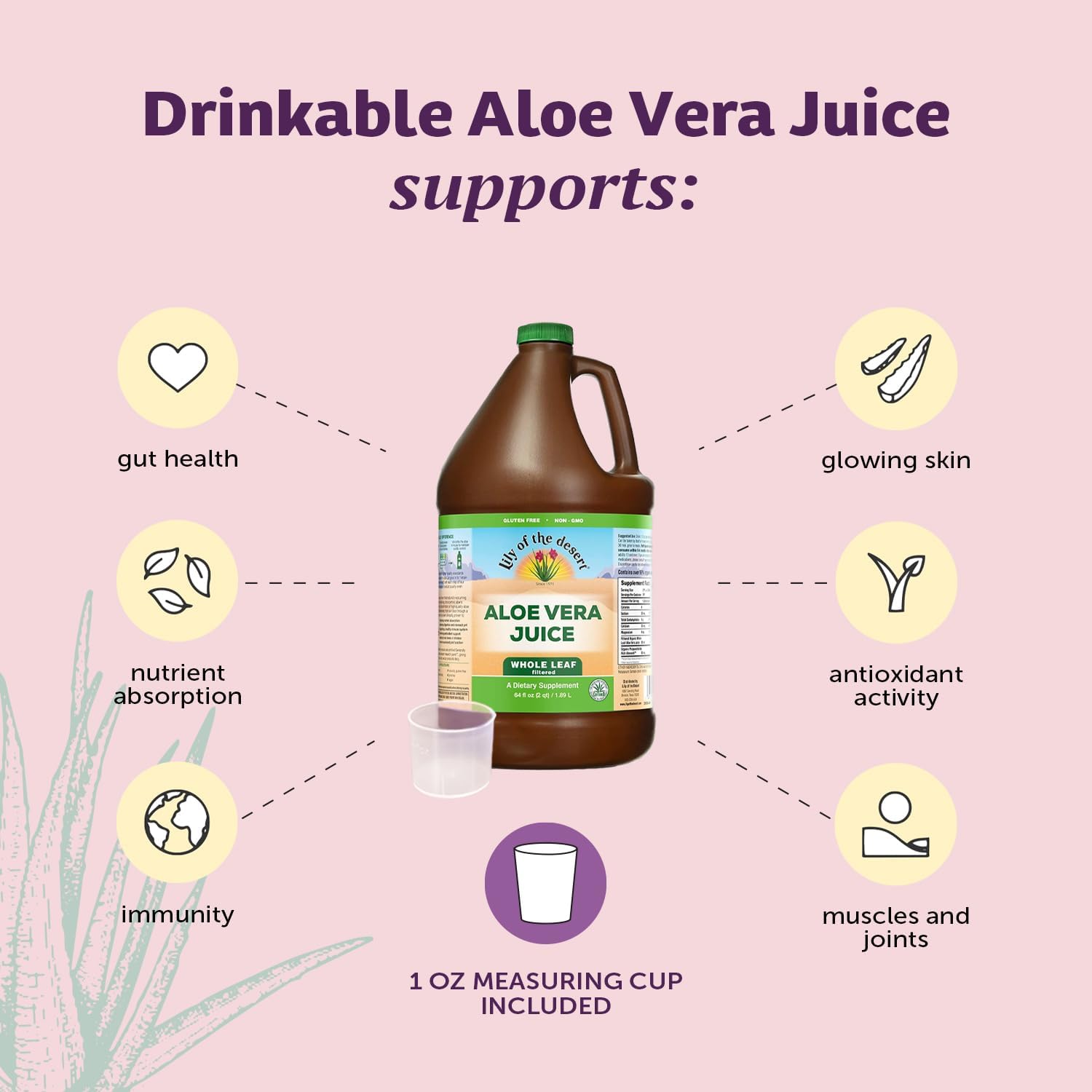 Lily Of The Desert Aloe Vera Juice label close-up highlighting Aloesorb.
