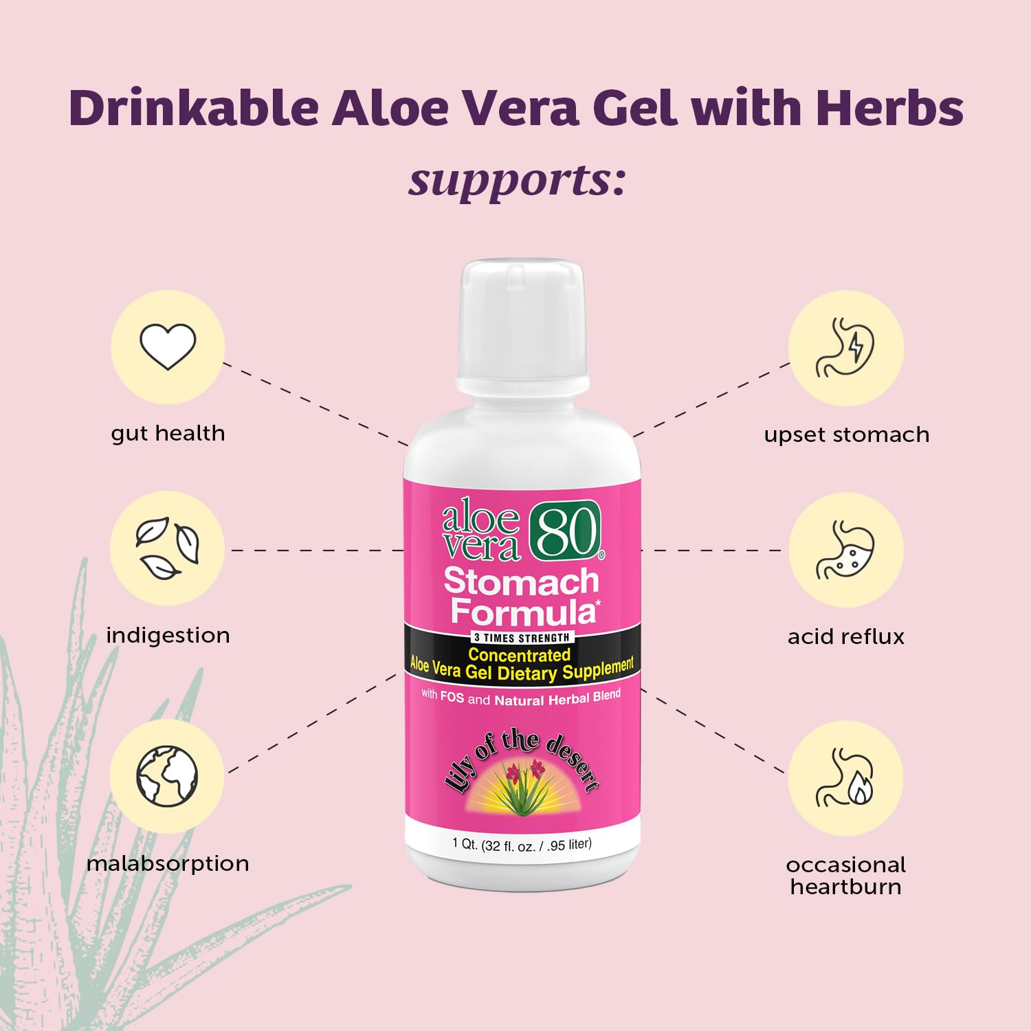 Lily Of The Desert Aloe Vera 80 ingredients chart shows slippery elm and herbs for gentle digestion