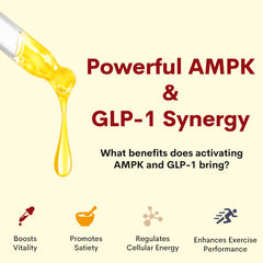 LimerenxLush Liposomal Berberine Drops pour into a glass for daily use.