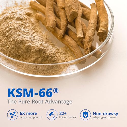 LincNutri ashwagandha-theanine-mushroom blend visual shows cognitive balance
